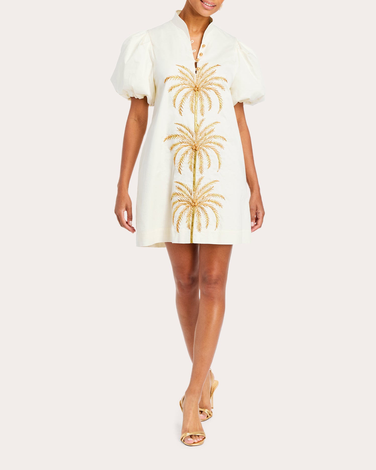 Elliana Embroidered Cotton Poplin Mini Dress