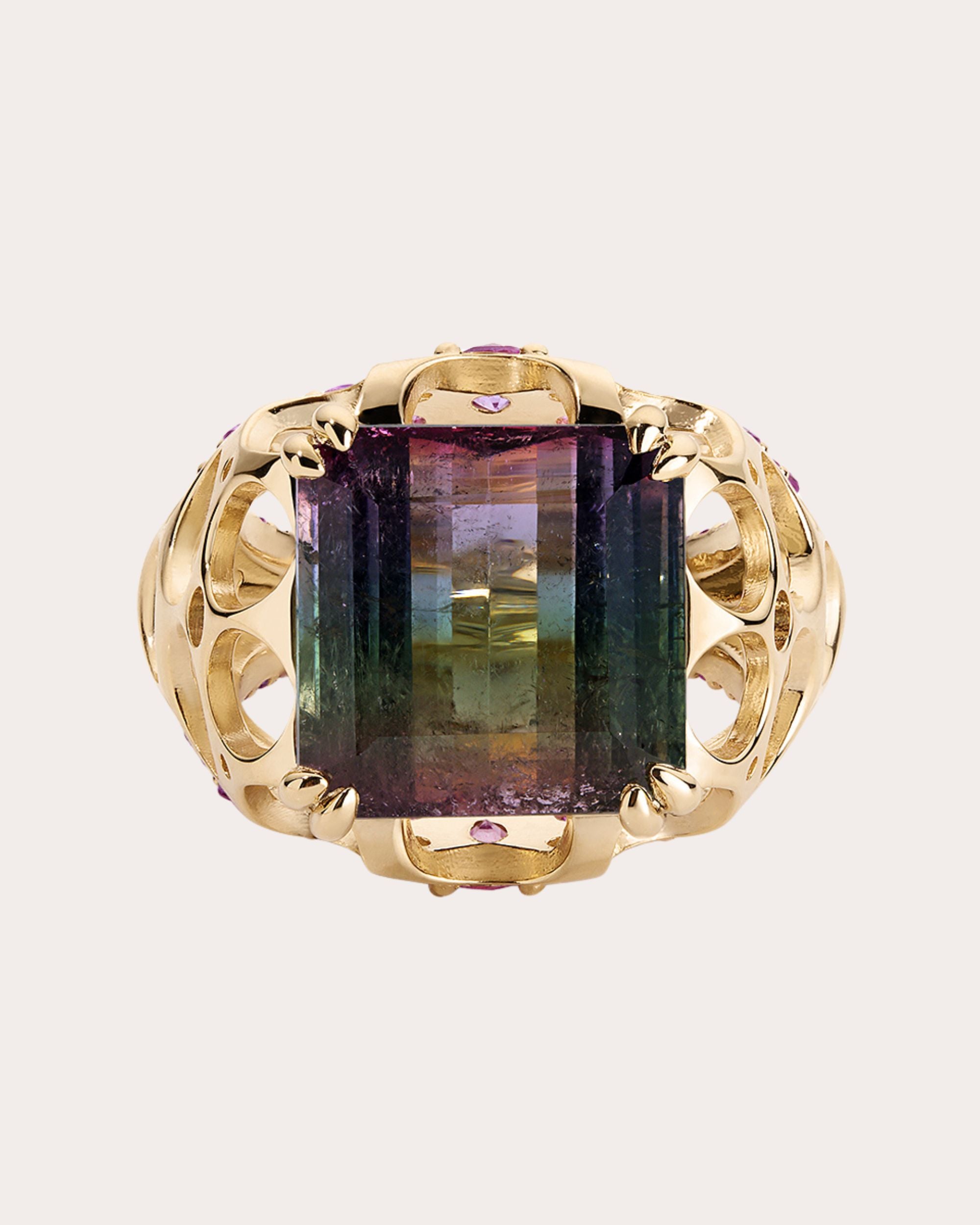 Tourmaline & Sapphire 14k Gold Apollonian Ring