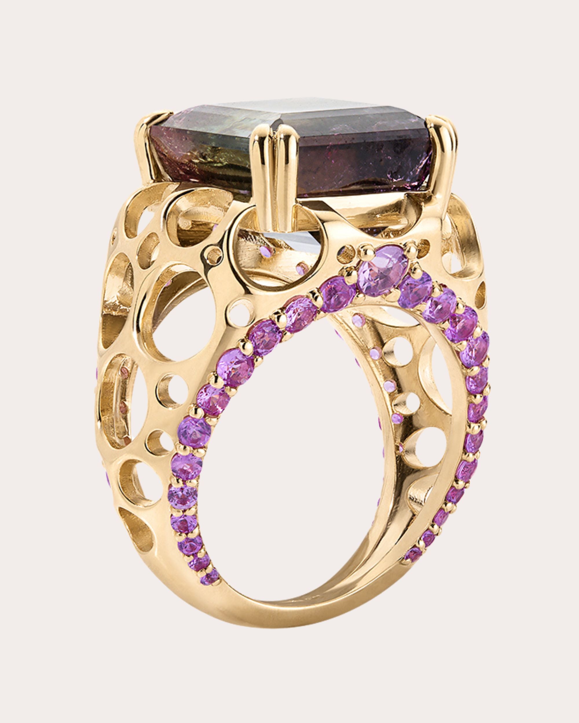 Tourmaline & Sapphire 14k Gold Apollonian Ring