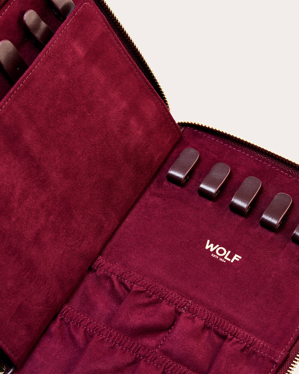 Bella Pleated Jewelry Portfolio