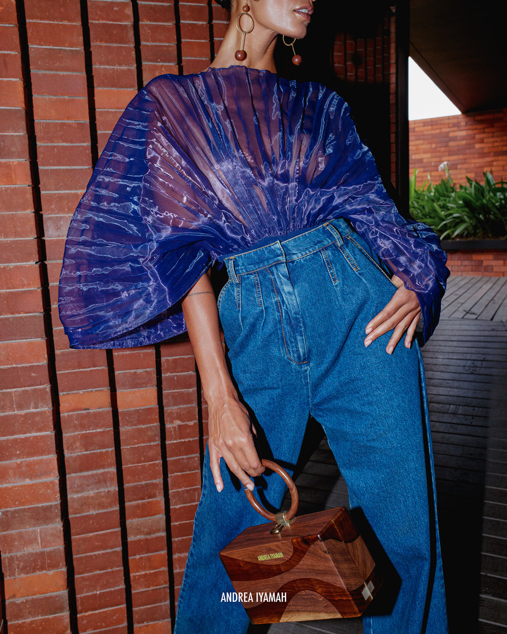 Sombra Pleated Sheer Organza Bodysuit