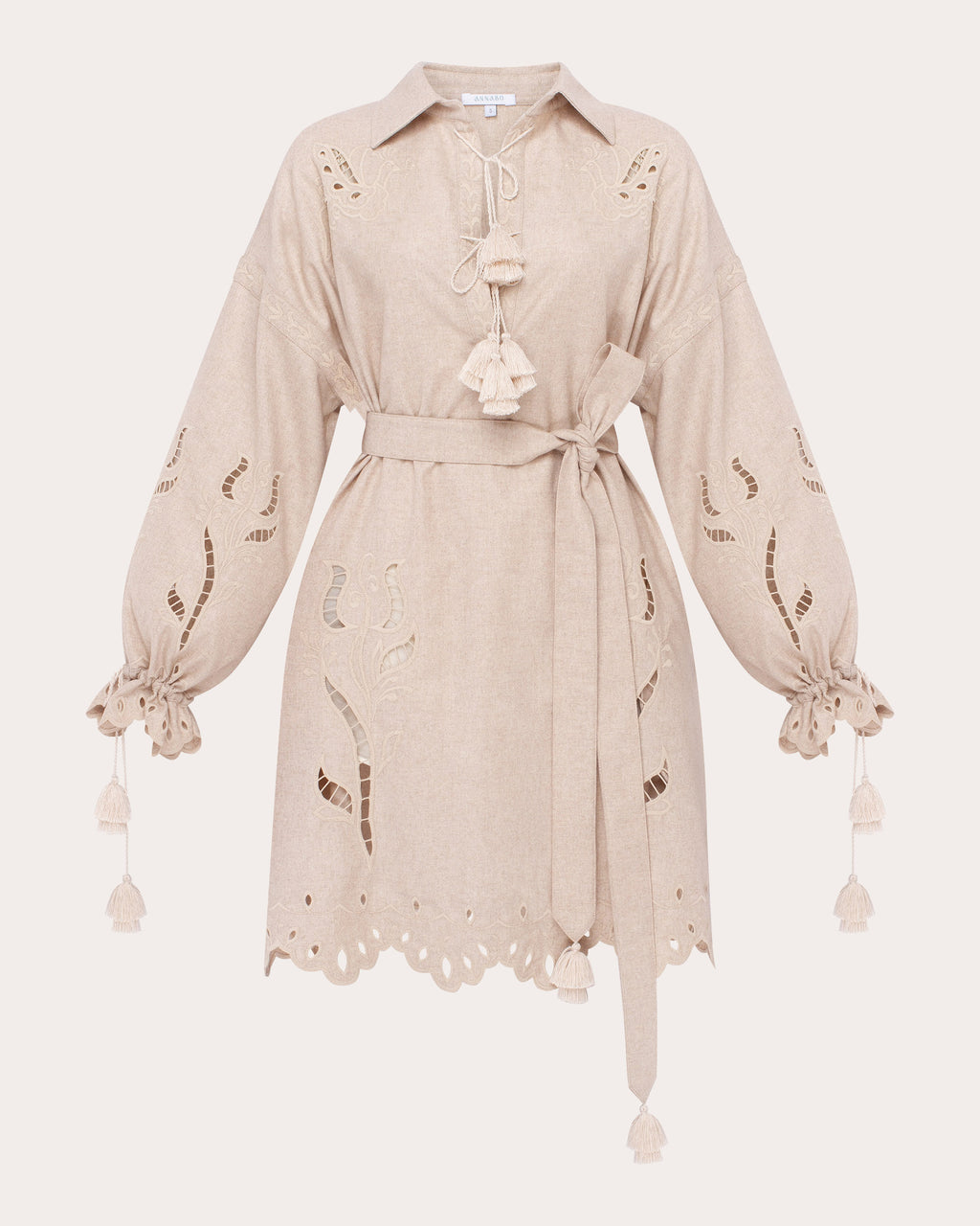 Winter Rose Embroidered Cutwork Mini Dress