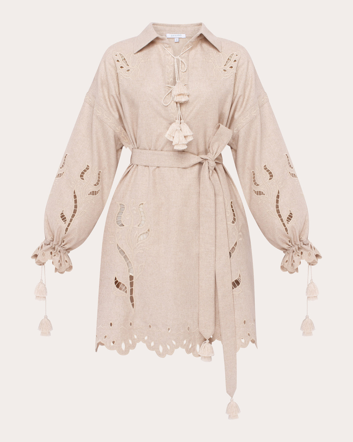 Winter Rose Embroidered Cutwork Mini Dress