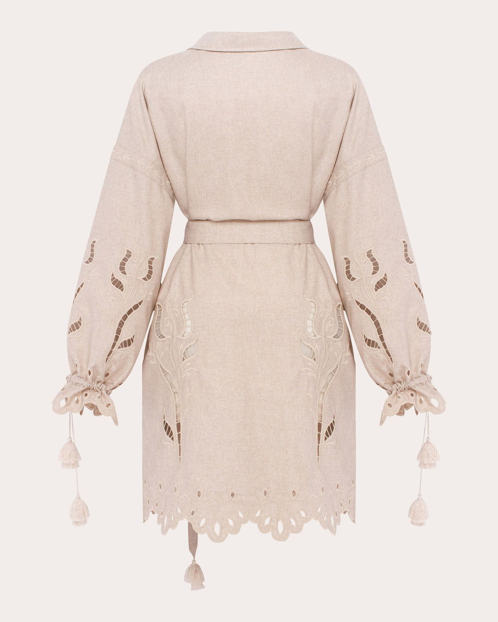 Winter Rose Embroidered Cutwork Mini Dress