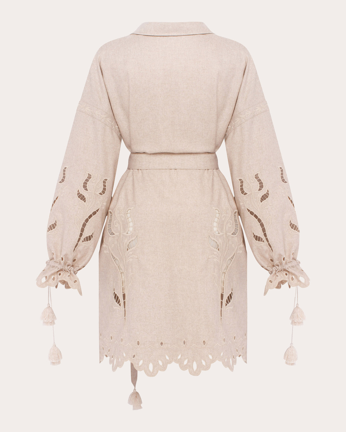 Winter Rose Embroidered Cutwork Mini Dress