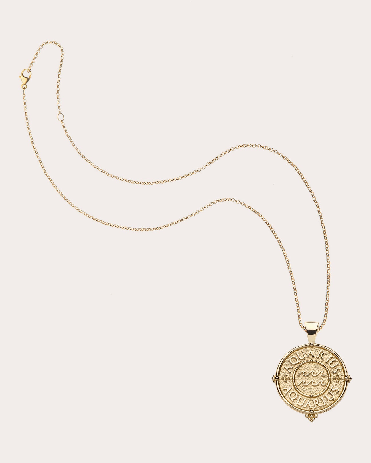 AQUARIUS Small Zodiac Coin Pendant Necklace