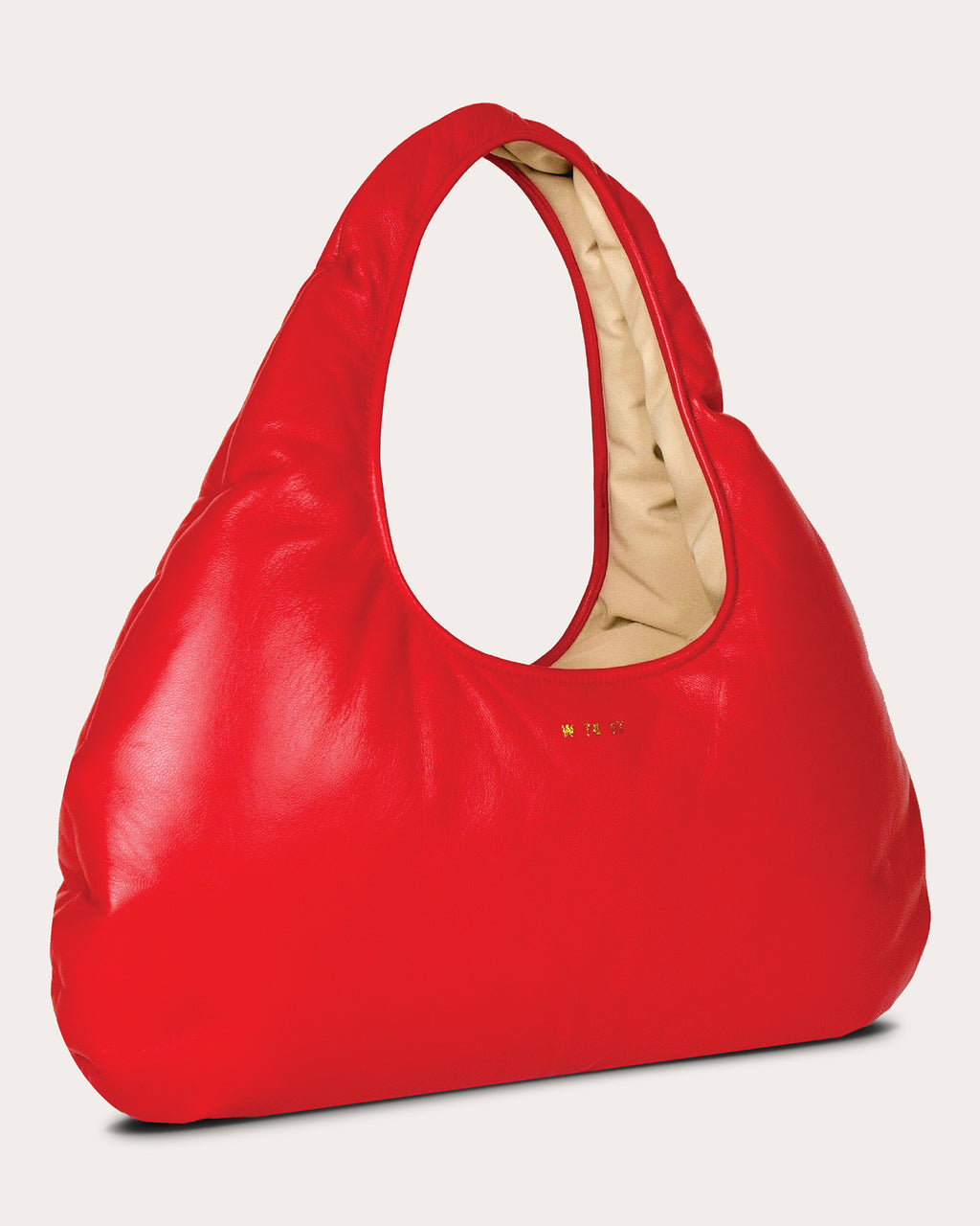 Medium Cloud Leather Shoulder Bag