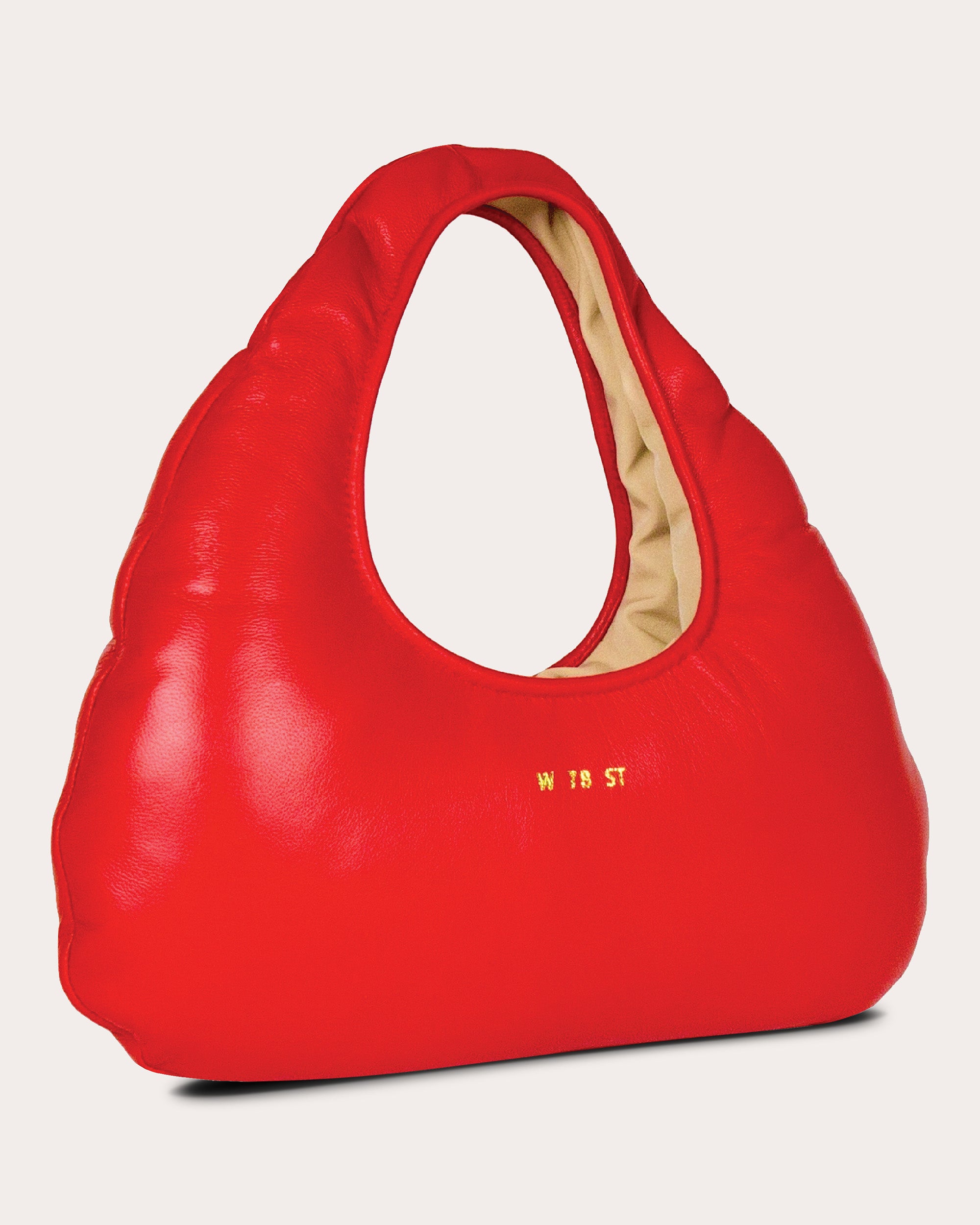 Micro Cloud Leather Tote