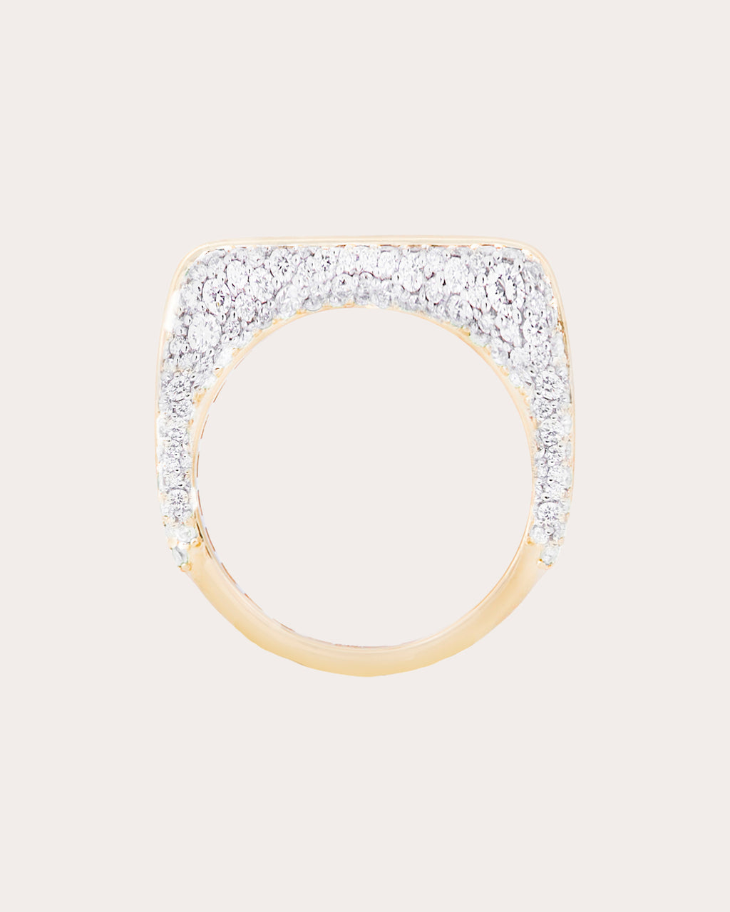 Diamond Found Rib Curve Band Ring