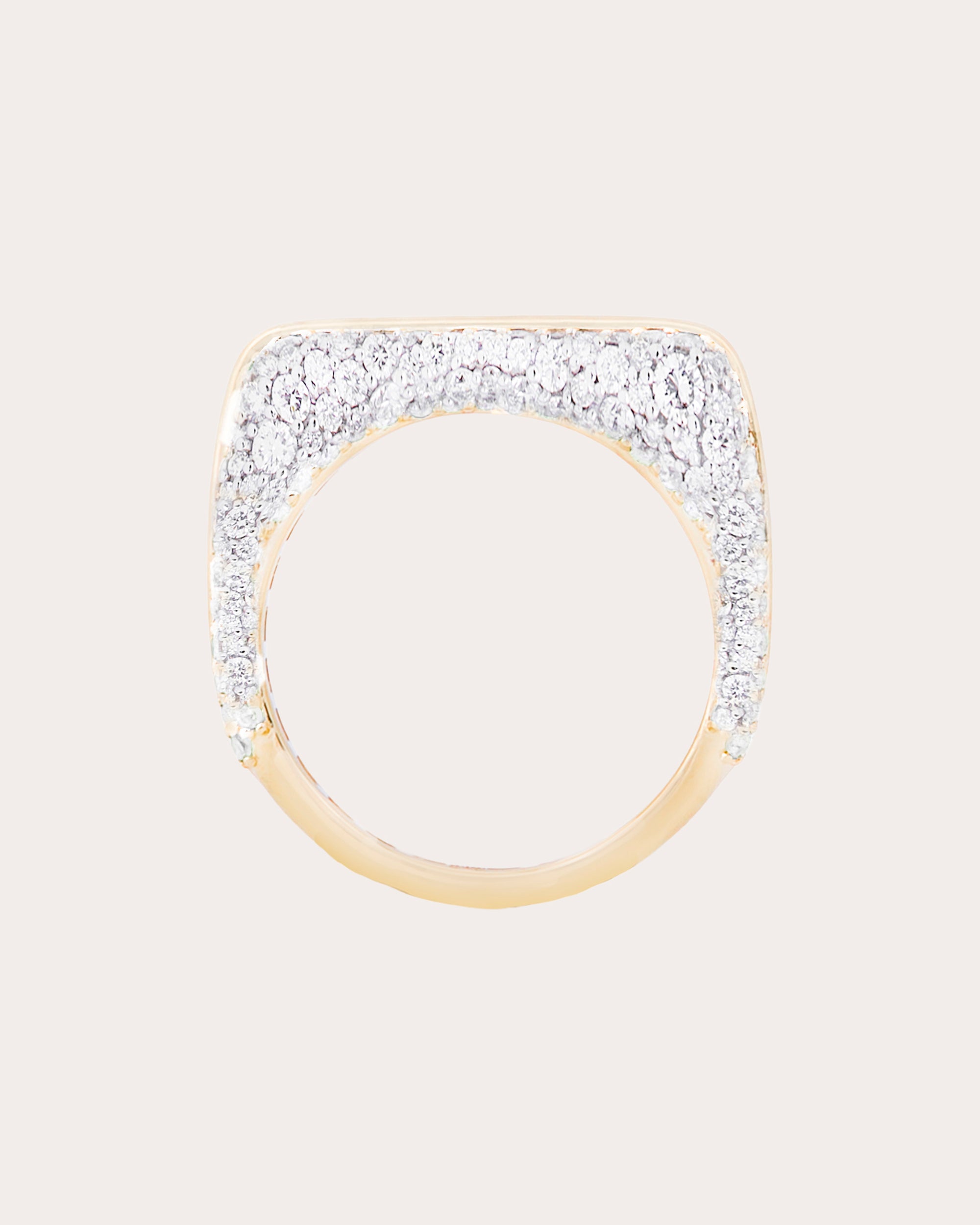 Diamond Found Rib Curve Band Ring