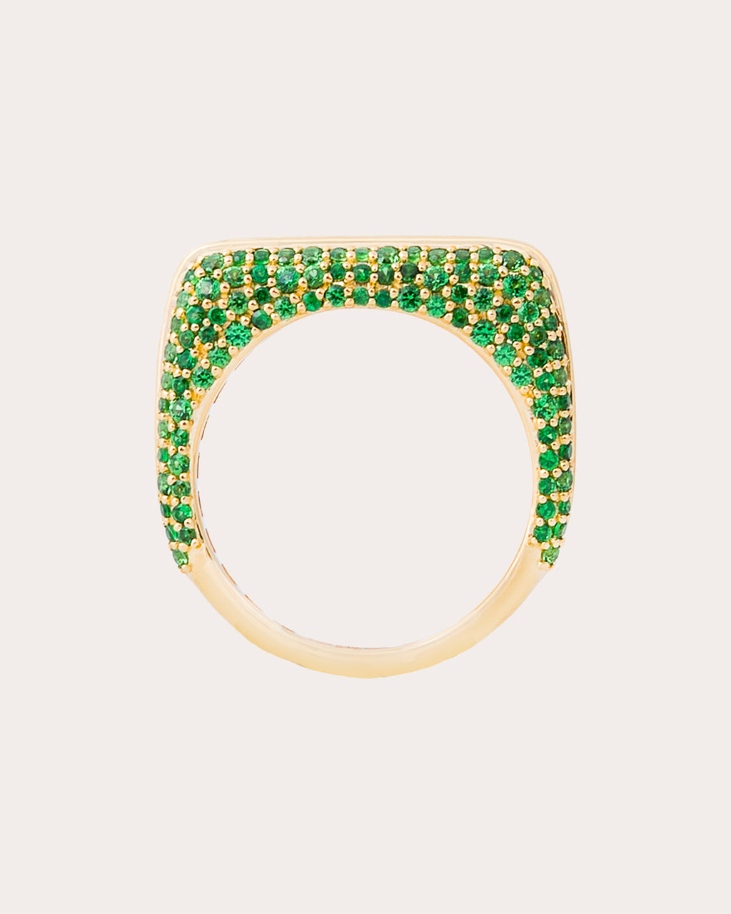 Tsavorite Found Rib Curve Band Ring