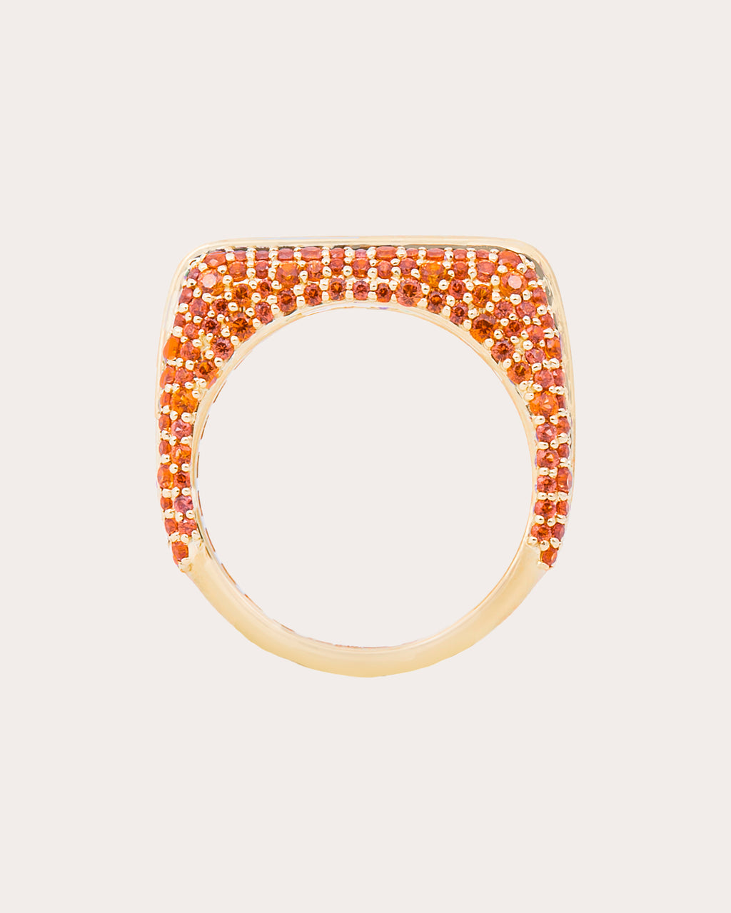 Multicolor Sapphire Found Rib Curve Band Ring