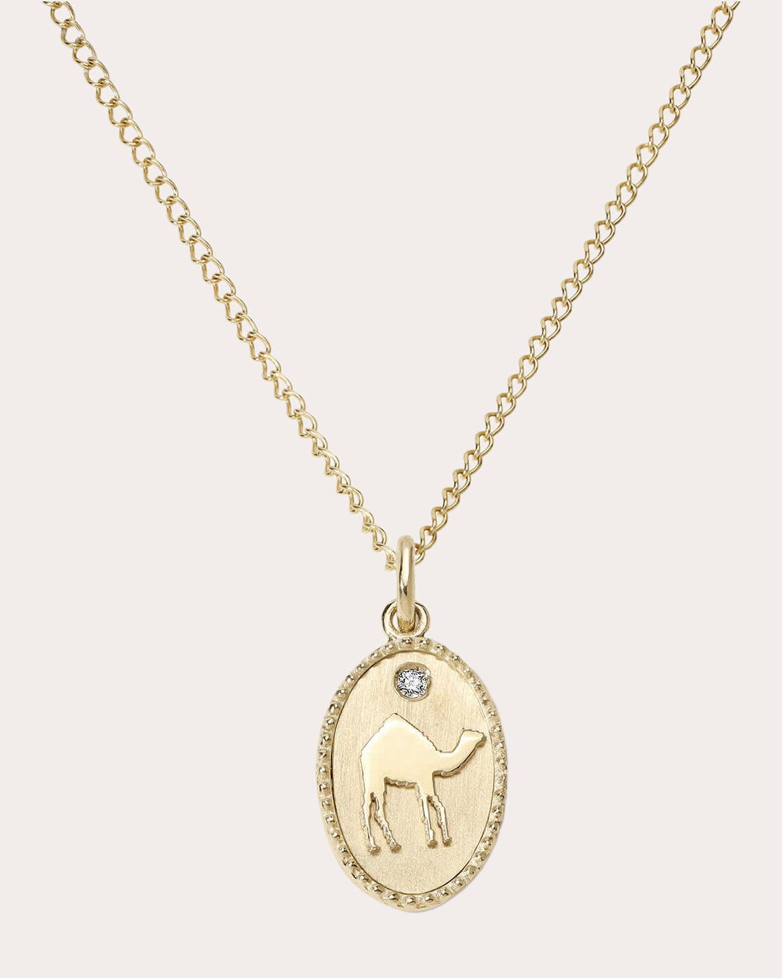 Camel Token Charm
