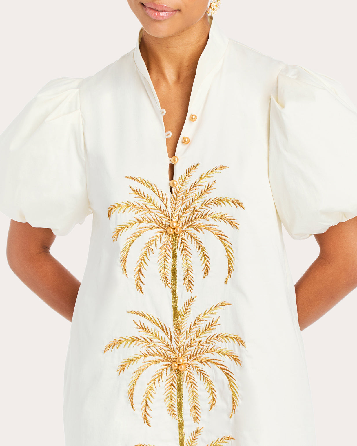 Elliana Embroidered Cotton Poplin Mini Dress