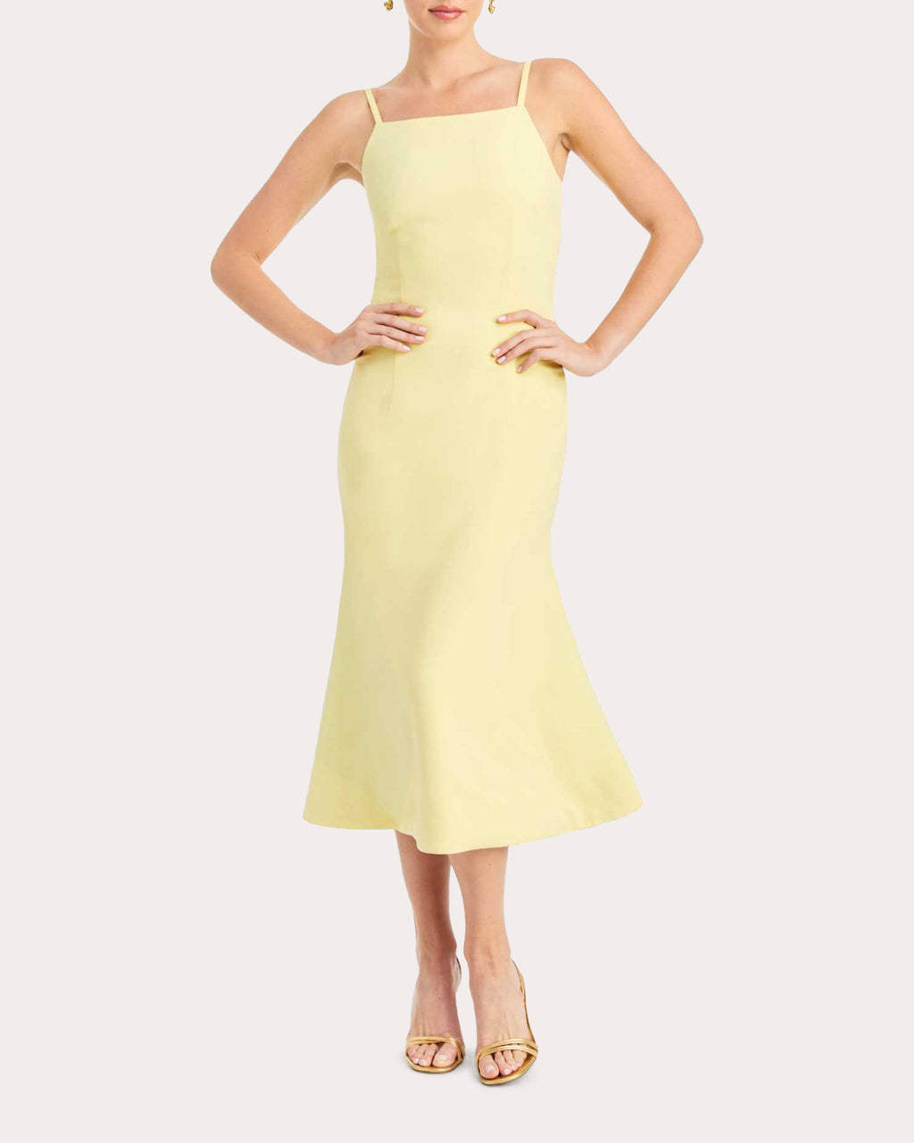 Eugenia Floral Crepe Reversible Midi Dress