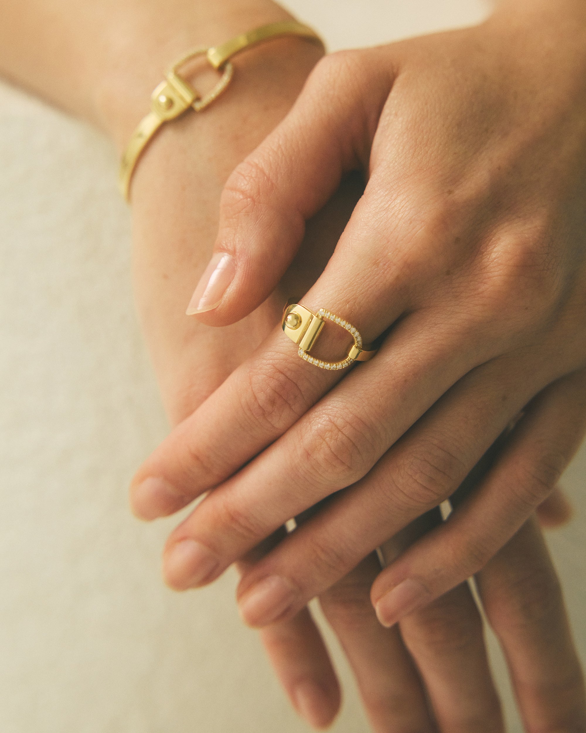 Diamond & 18k Gold Rivet Ring