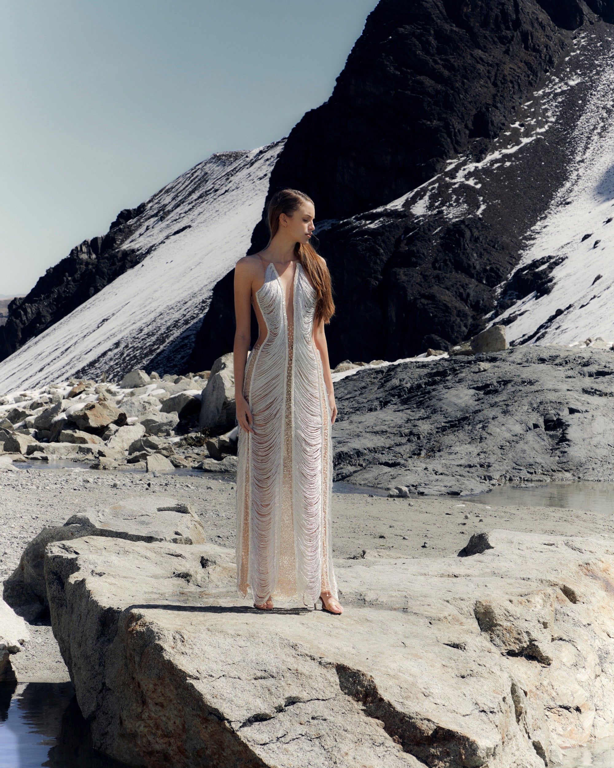 Zira Embellished Fringe Illusion Tulle Gown