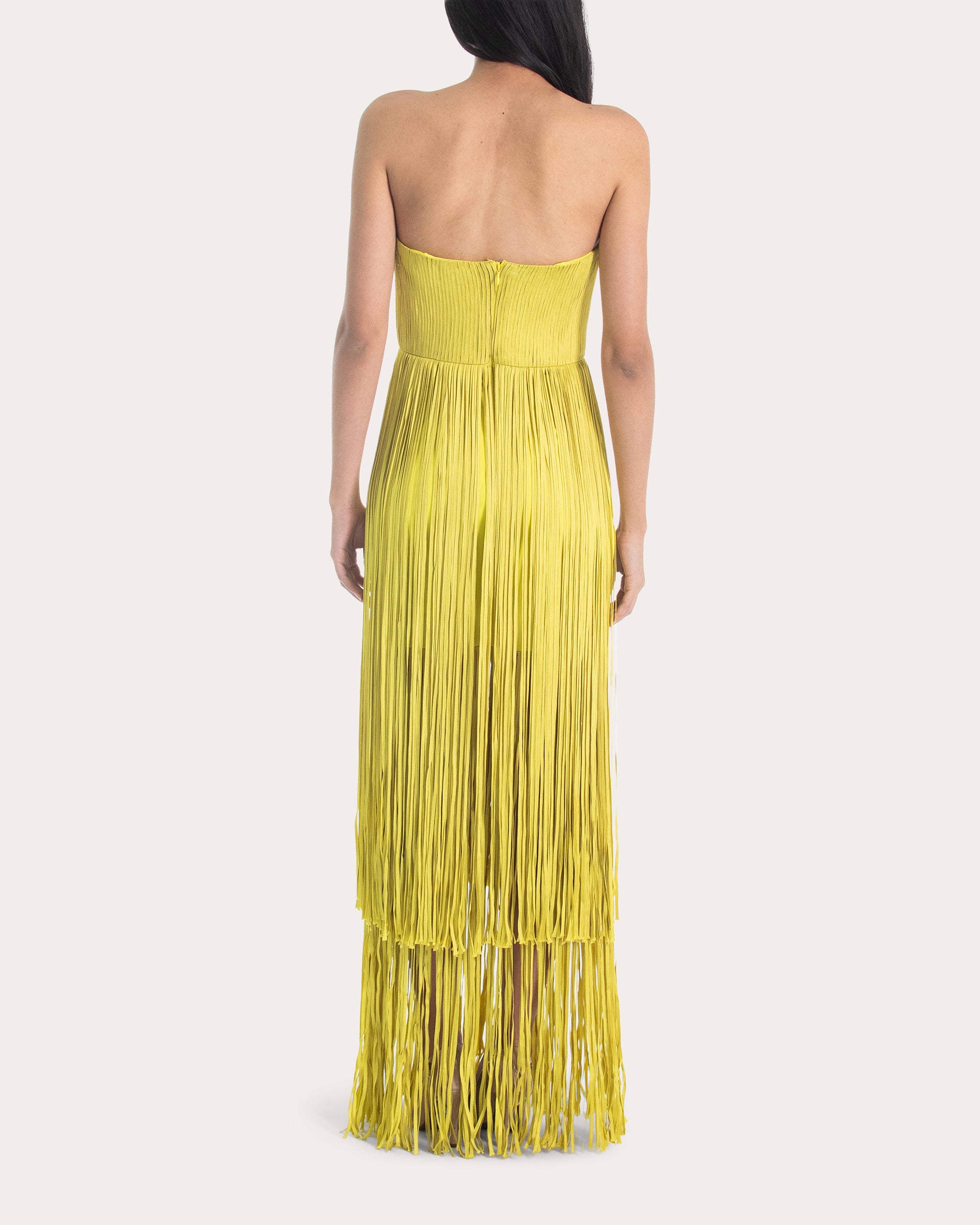 Anid Silk Fringe Strapless Gown