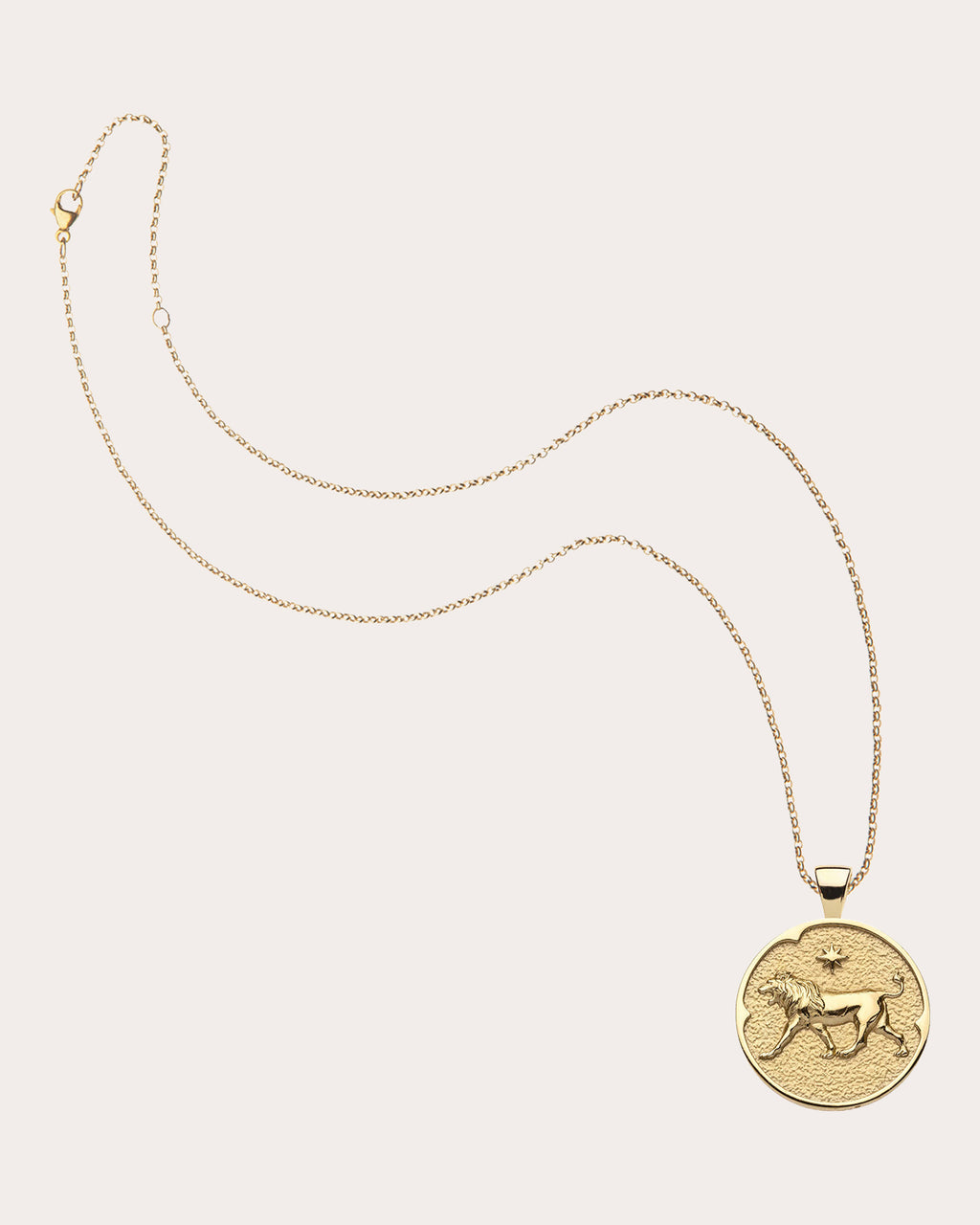 LEO Small Zodiac Coin Pendant Necklace