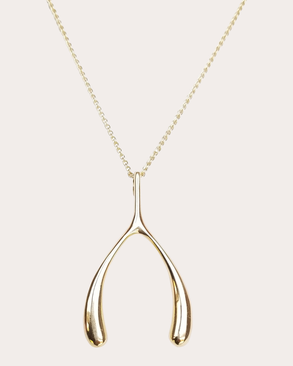 LUCKY Wishbone Pendant Necklace