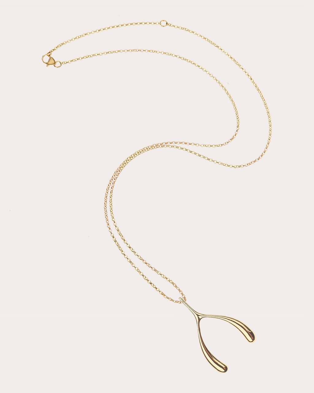 LUCKY Wishbone Pendant Necklace