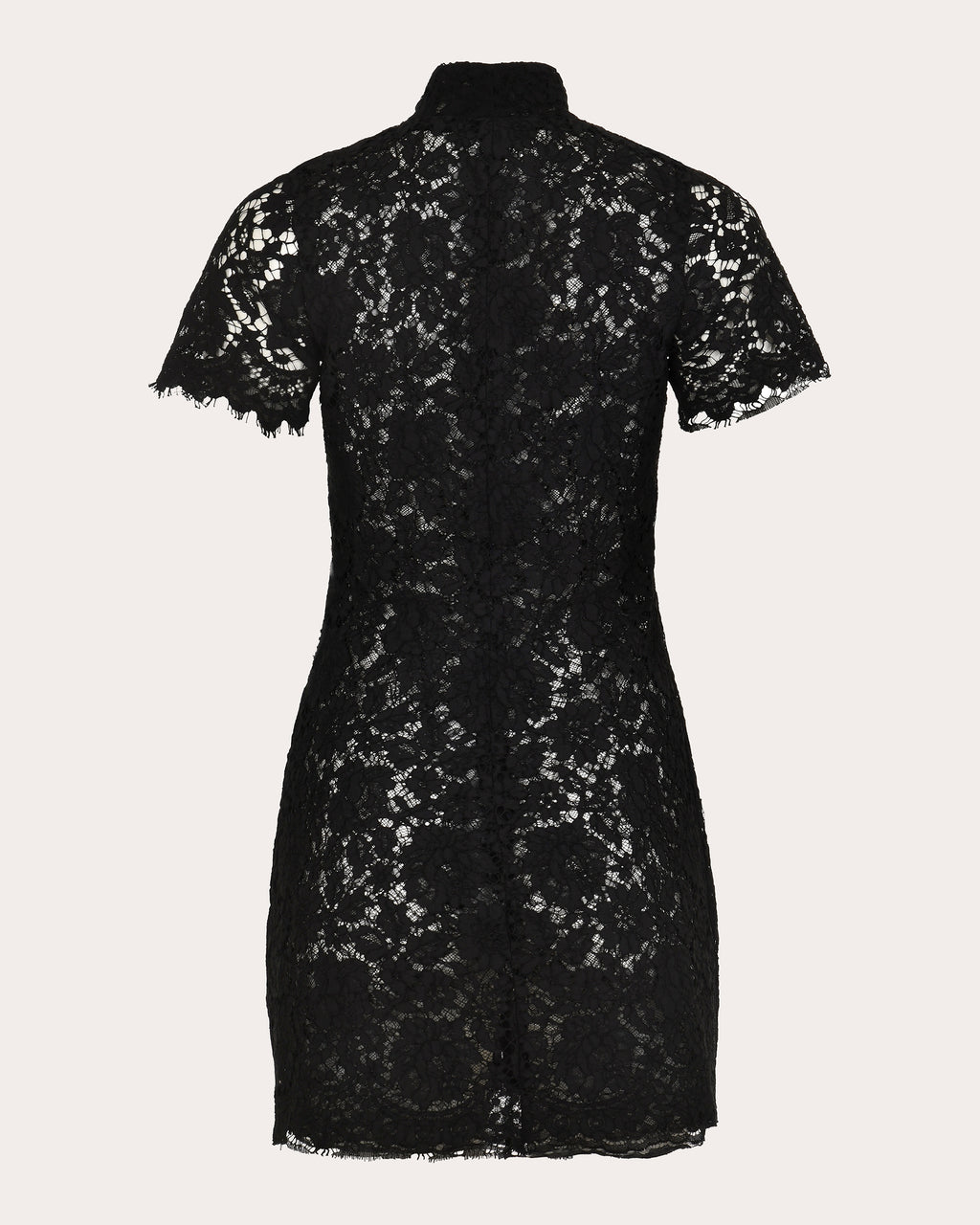 Moonlace Embroidered Floral Lace Mini Dress