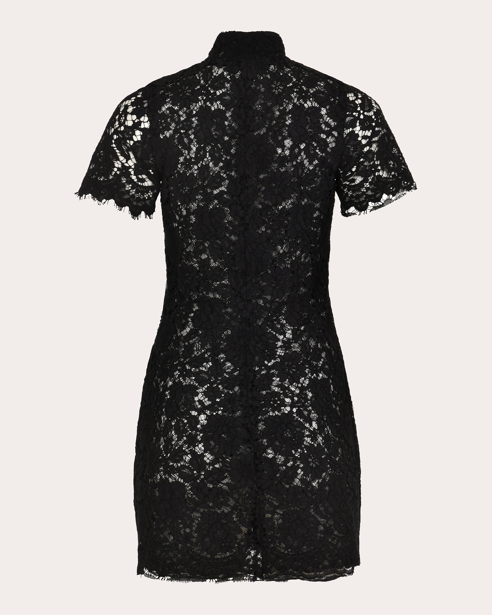 Moonlace Embroidered Floral Lace Mini Dress