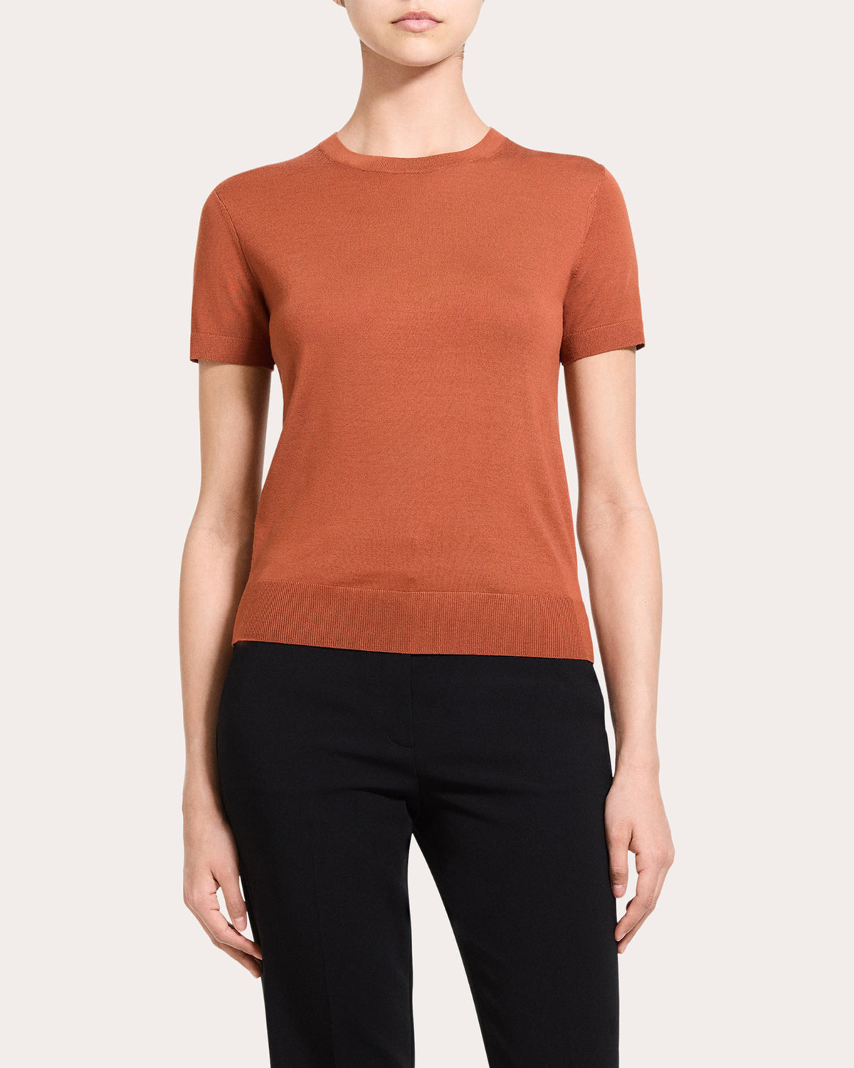 Regal Wool Basic Crewneck Top