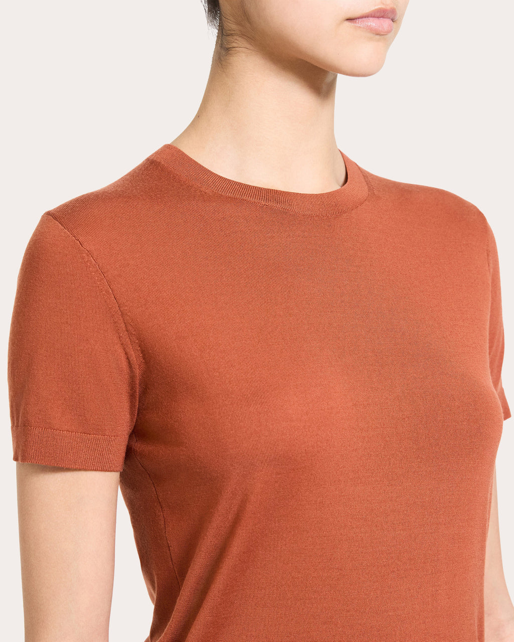 Regal Wool Basic Crewneck Top