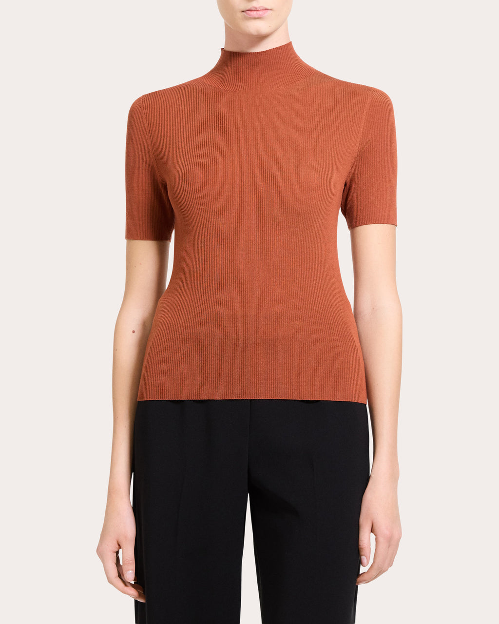 Leenda Ribbed Wool Mock Neck Top