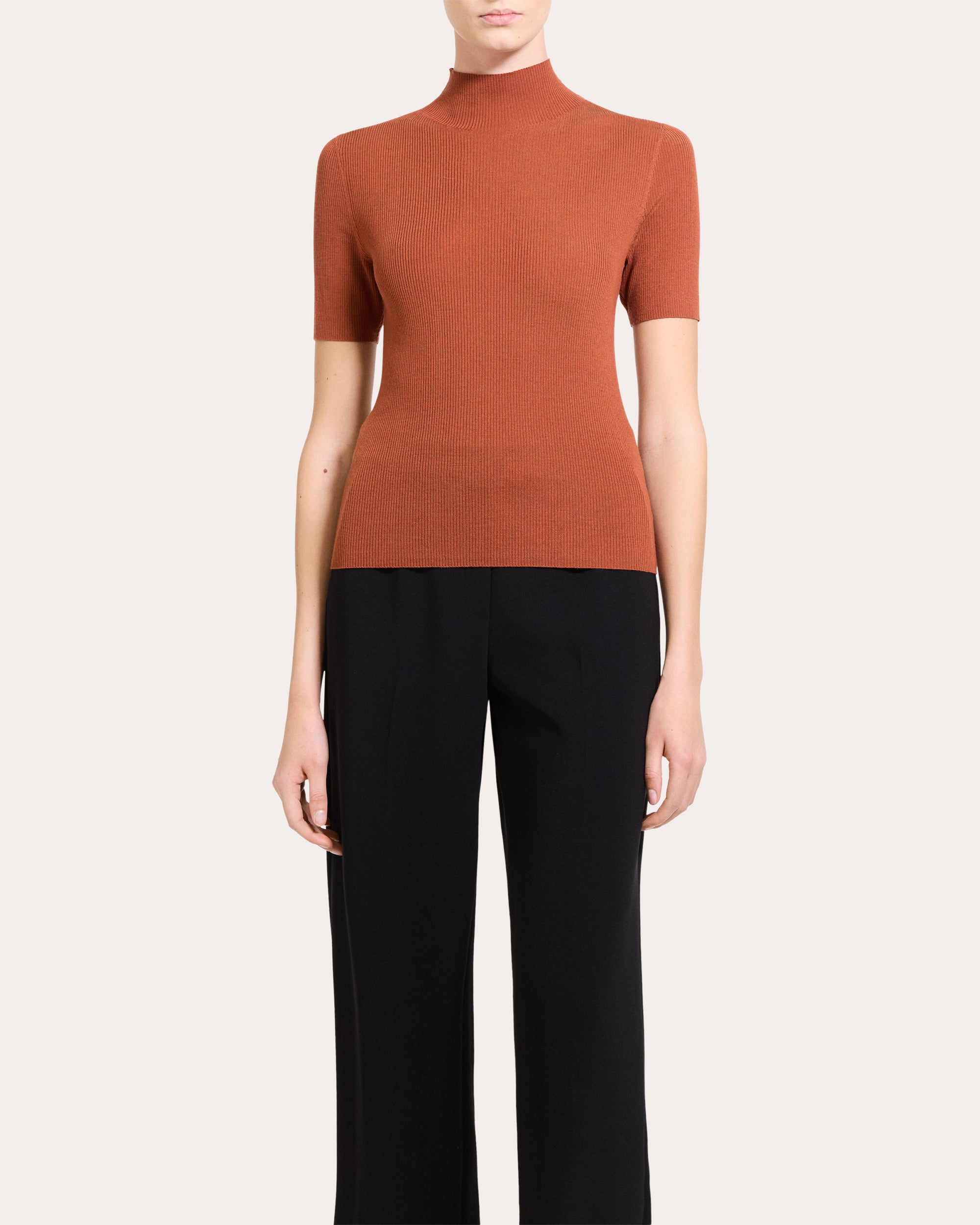 Leenda Ribbed Wool Mock Neck Top