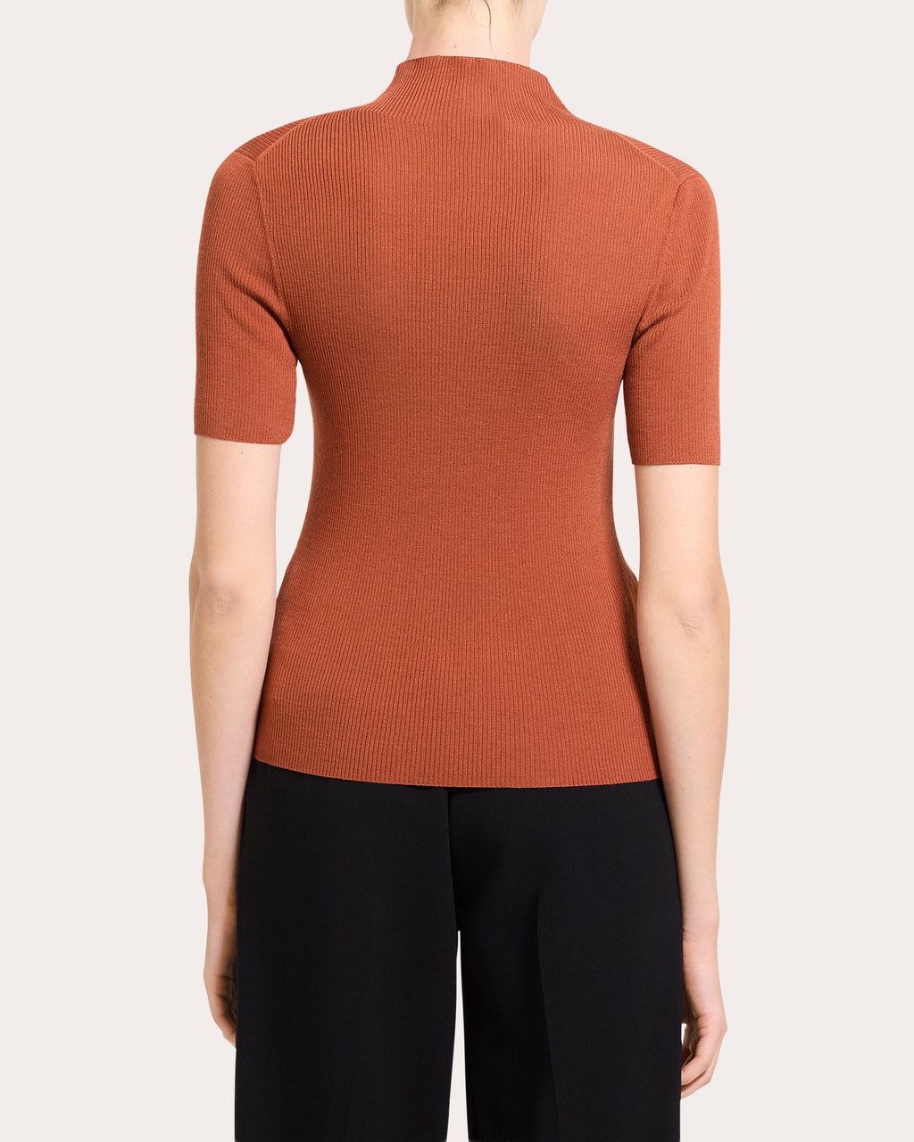 Leenda Ribbed Wool Mock Neck Top
