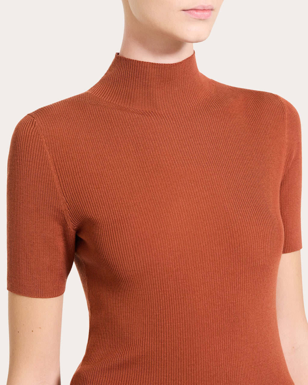 Leenda Ribbed Wool Mock Neck Top