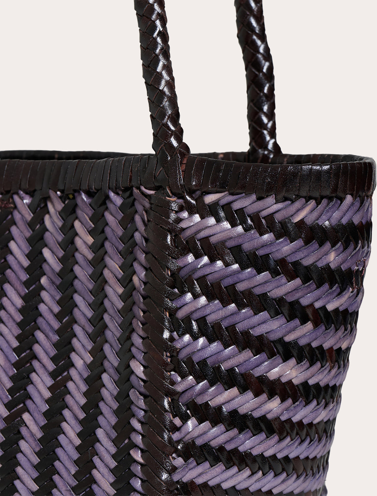 Ruby Stripe Woven Leather Tote Bag