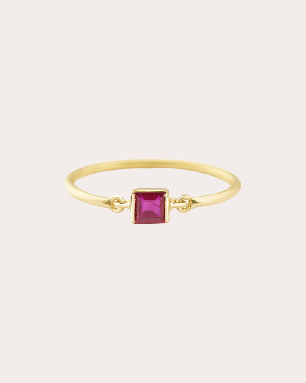 Ruby & 14k Gold Petite Circle Ring