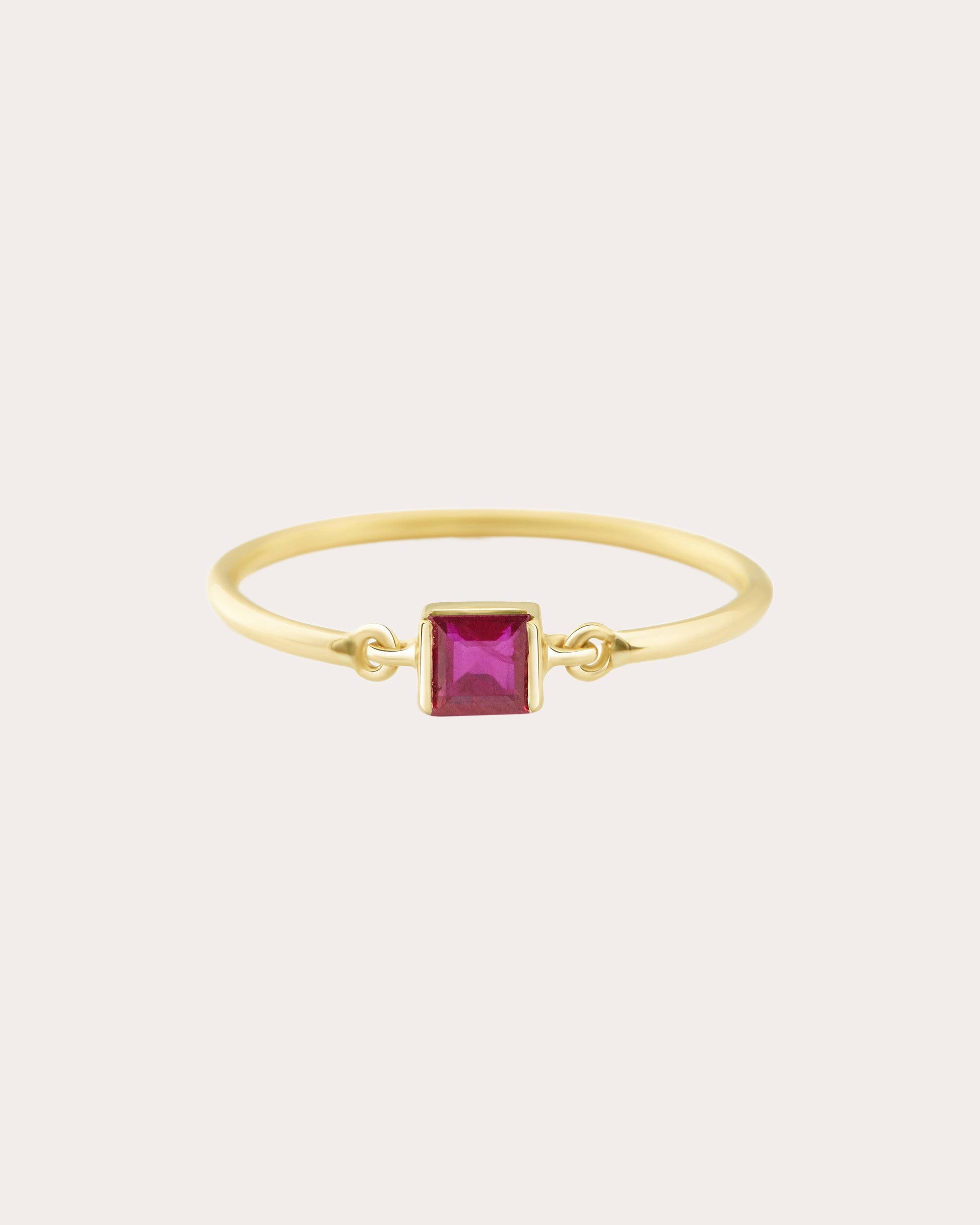 Ruby & 14k Gold Petite Circle Ring