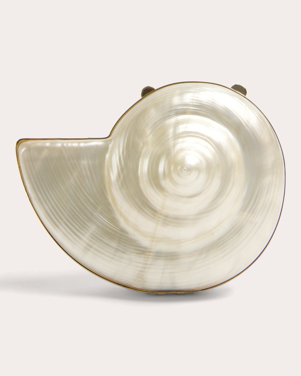 Marion Shell Clutch