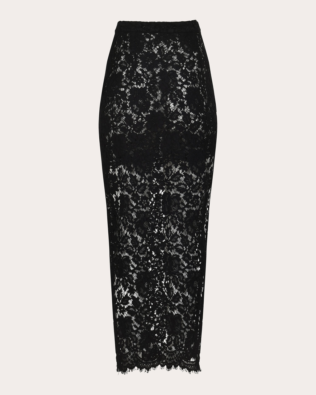 Siena Sheer Lace Maxi Skirt