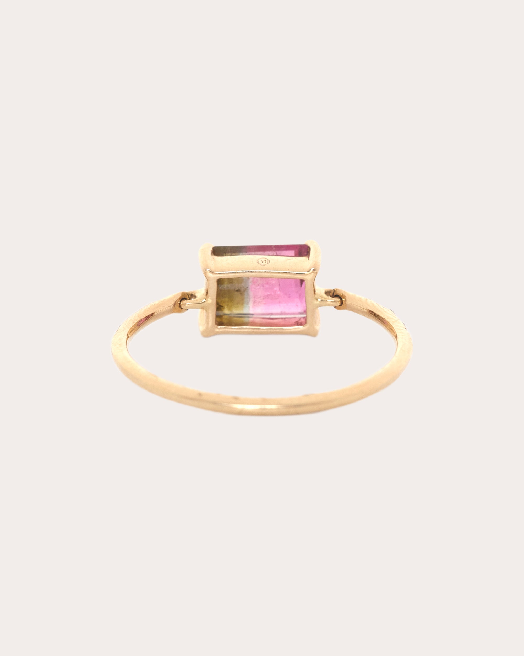 Diamond & Watermelon Tourmaline Petite Ring