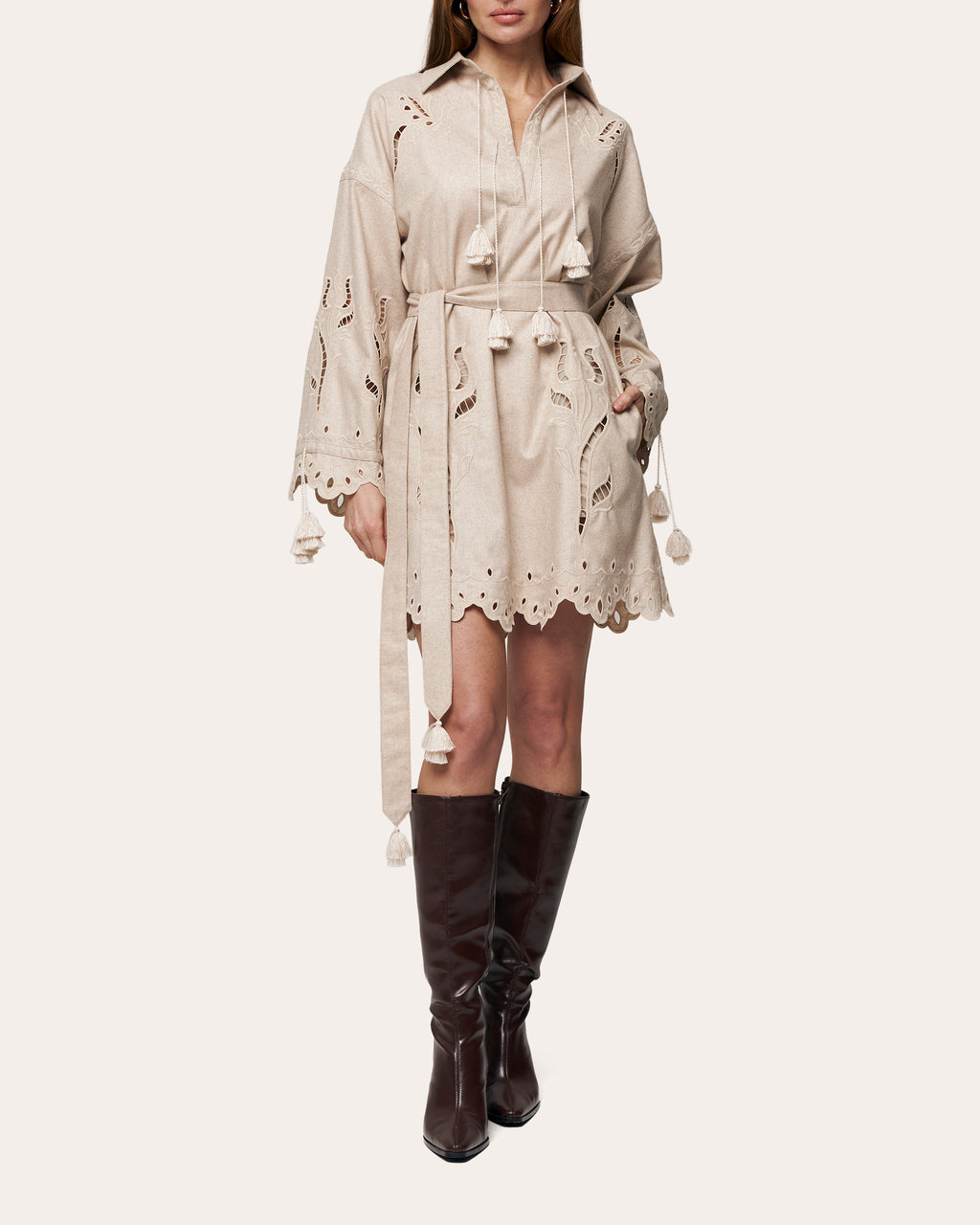 Winter Rose Embroidered Cutwork Mini Dress