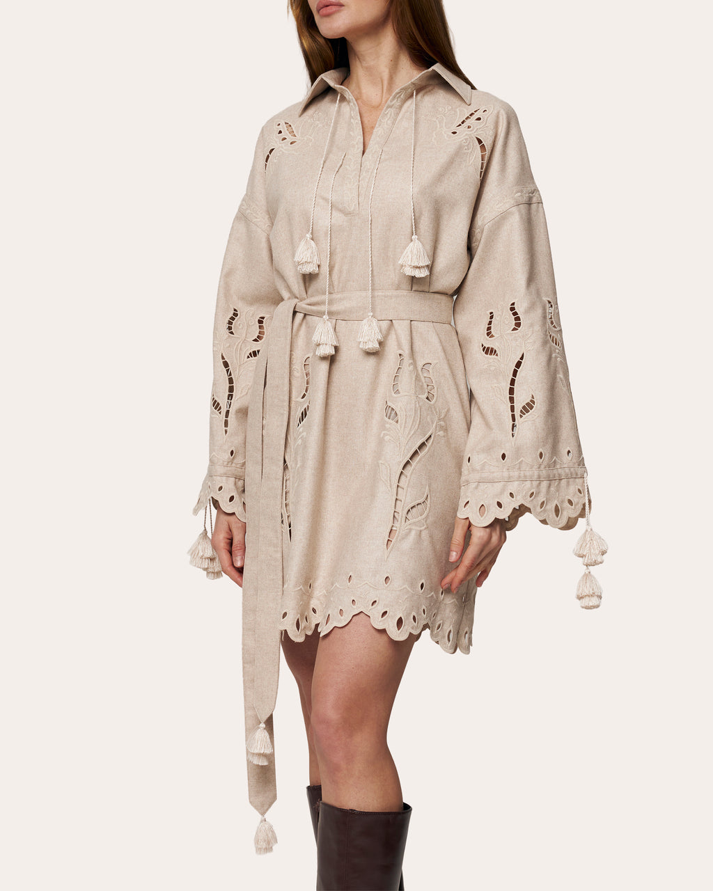 Winter Rose Embroidered Cutwork Mini Dress