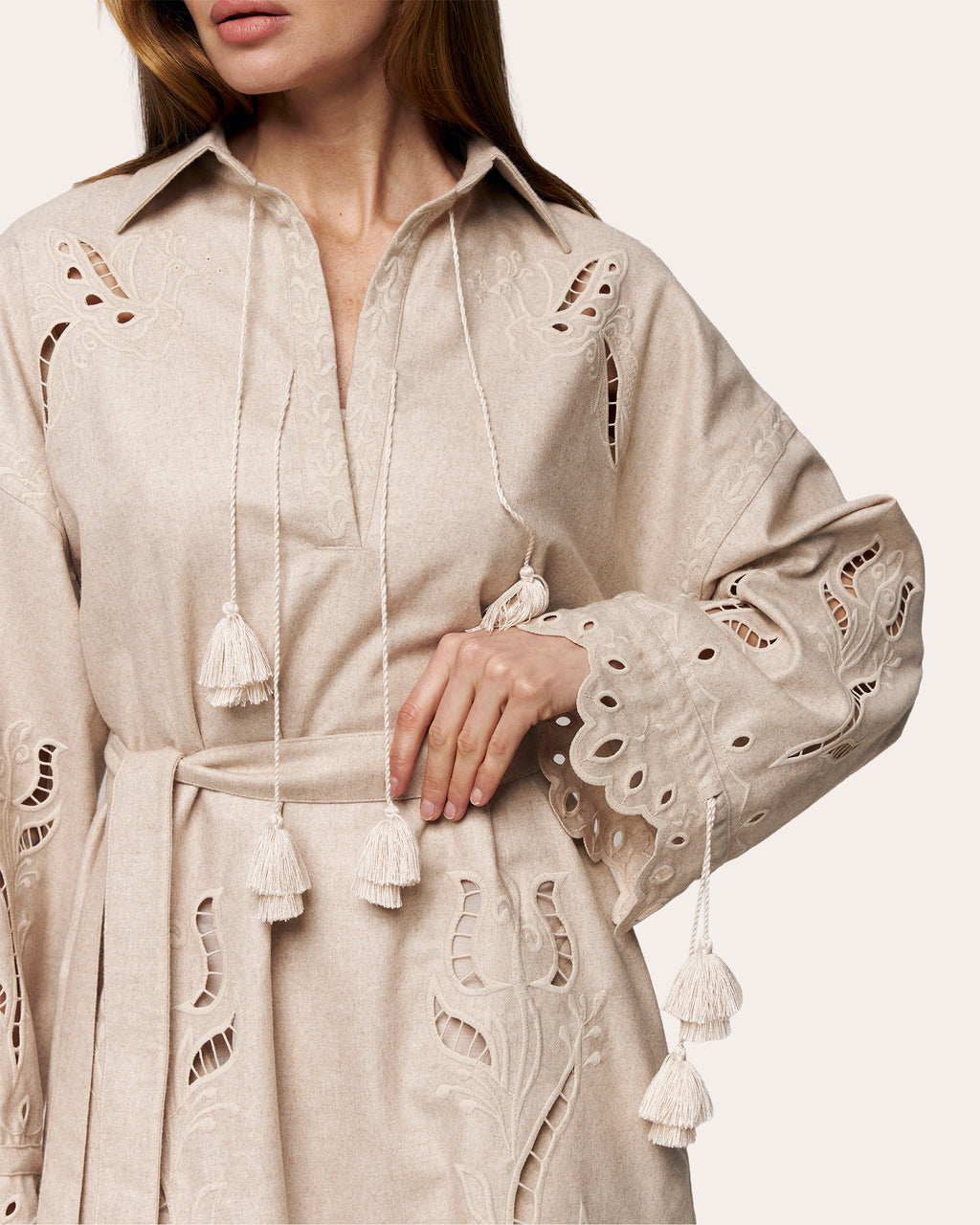 Winter Rose Embroidered Cutwork Mini Dress