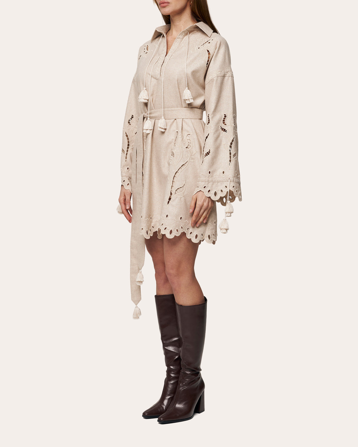Winter Rose Embroidered Cutwork Mini Dress