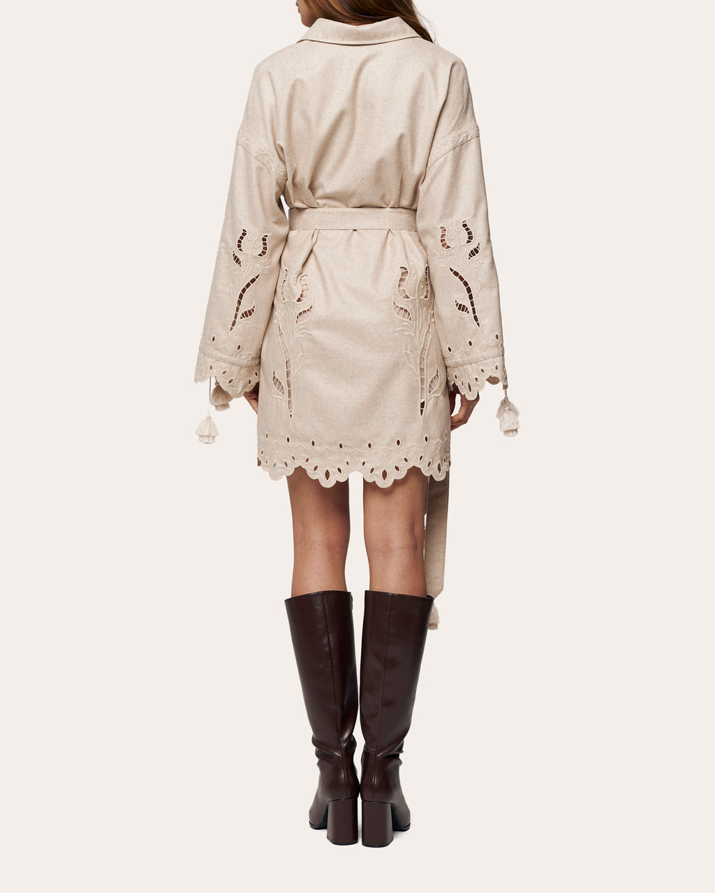 Winter Rose Embroidered Cutwork Mini Dress