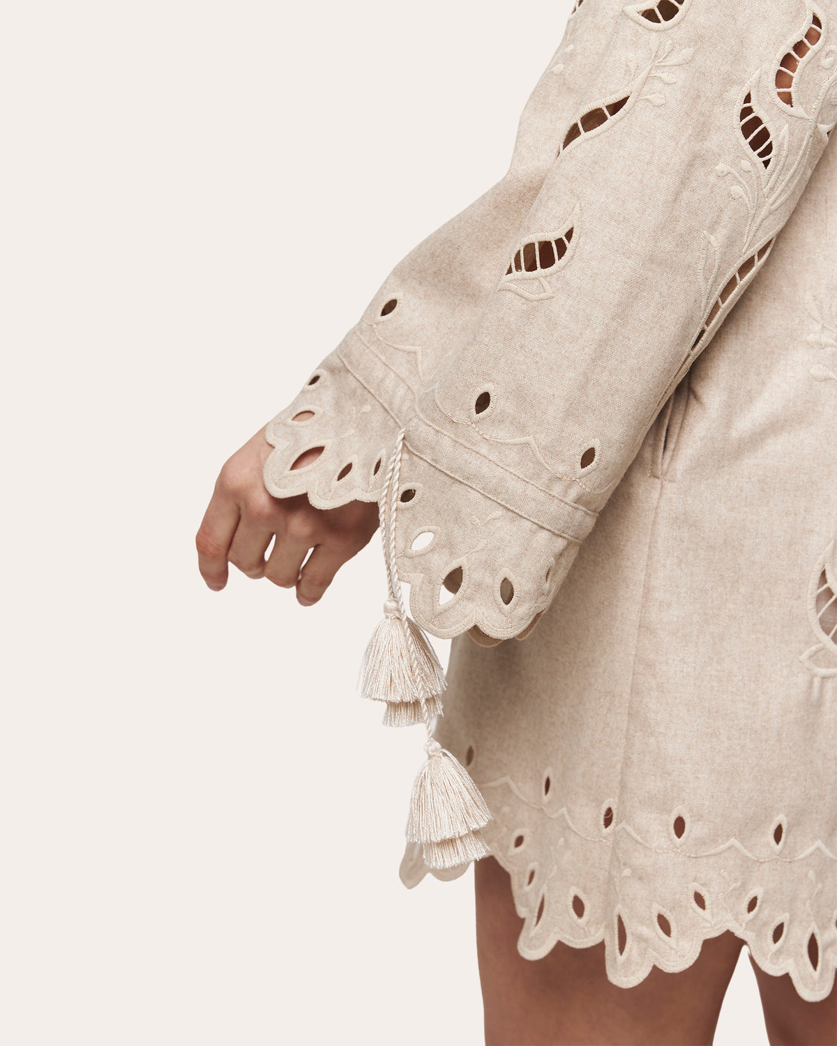 Winter Rose Embroidered Cutwork Mini Dress