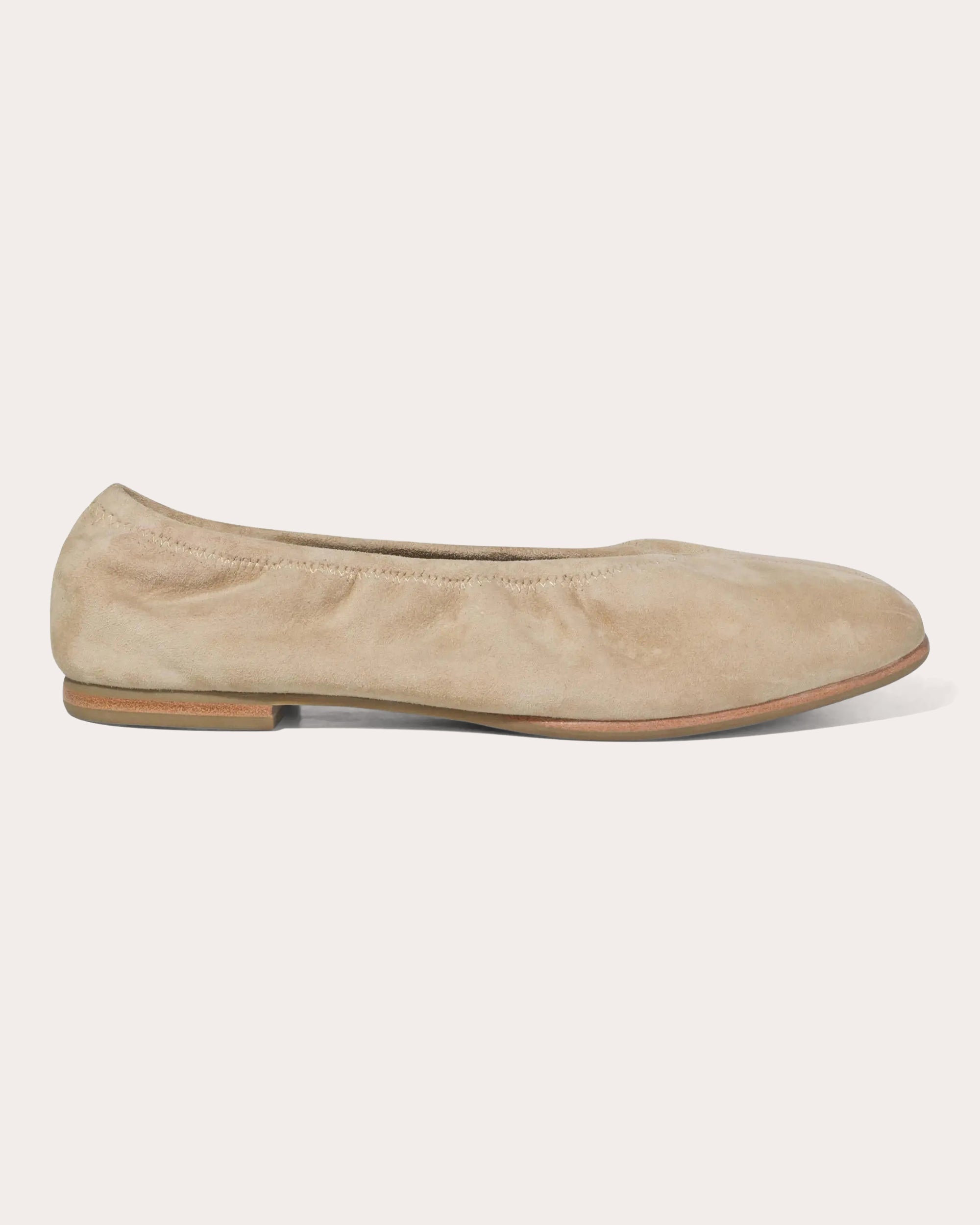 Danna Suede Ballet Flat