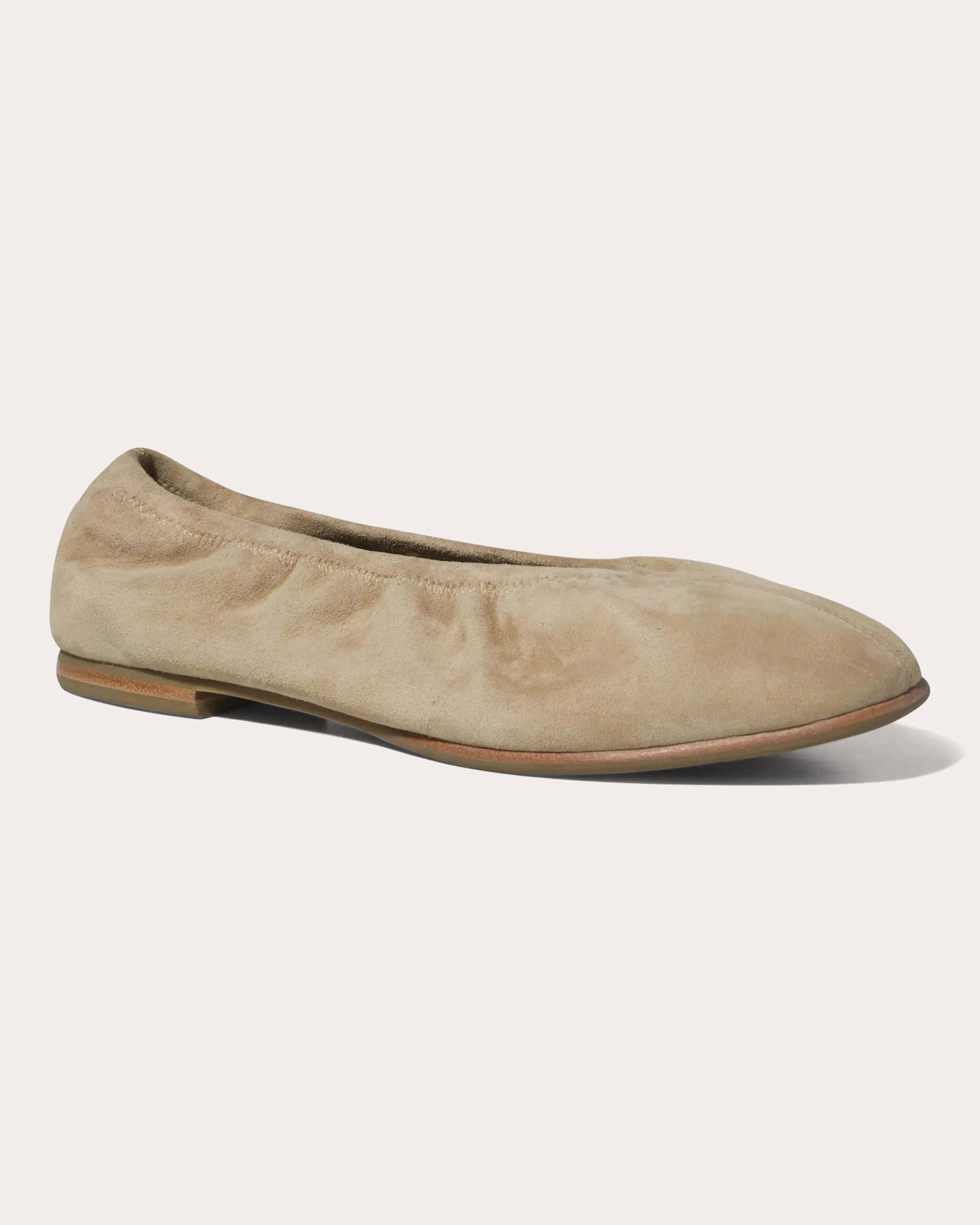 Danna Suede Ballet Flat